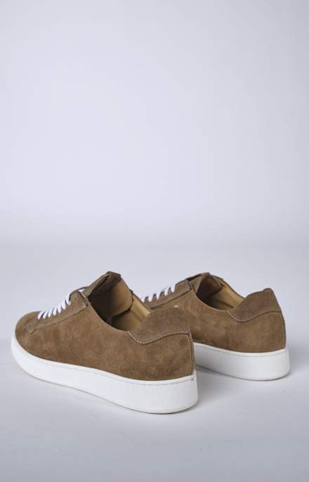 ART_5370BA_TORTORA_04