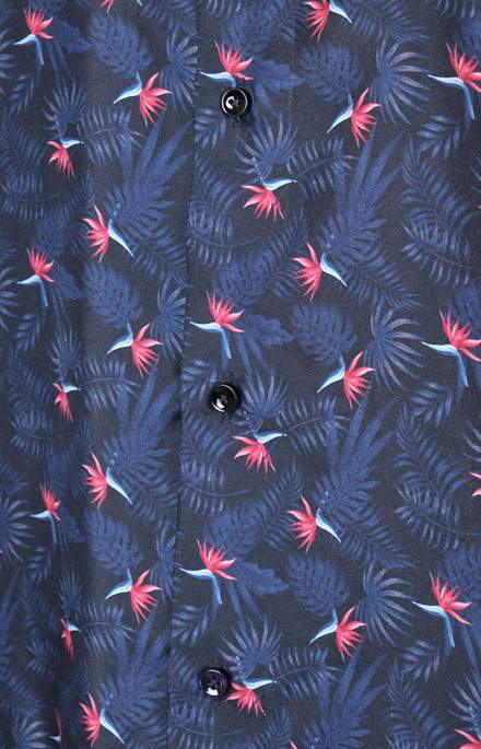 ART_SETA_COL_STERLIZIA_05