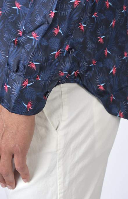 ART_SETA_COL_STERLIZIA_06