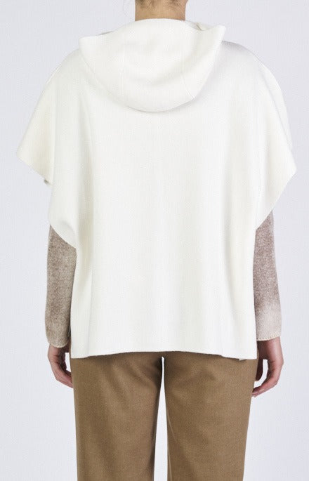 MANTELLA_57253_12853_C001_003